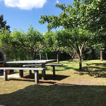 Nefelejcs Apartman Balatonvilágos Buitenkant foto